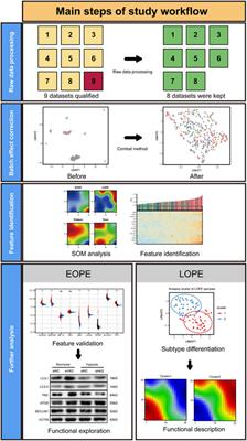 Elevated expression of glycolytic genes as a prominent feature of early-onset preeclampsia: insights from integrative transcriptomic analysis